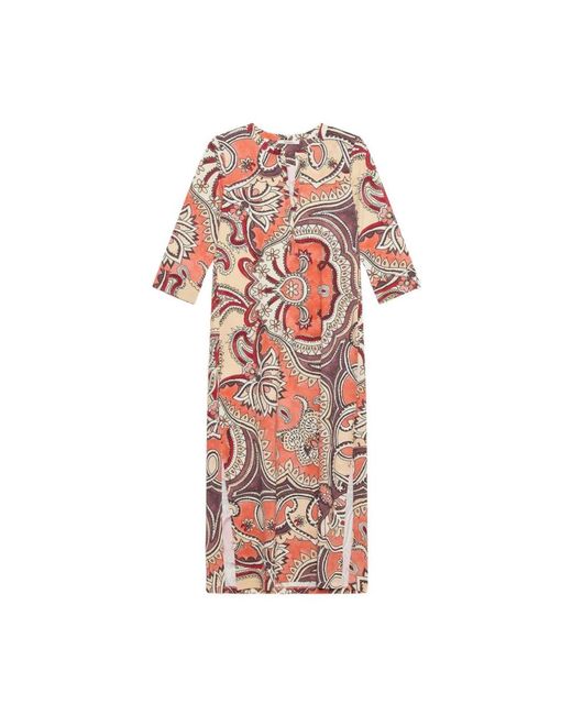 Maliparmi Pink Midi Dresses