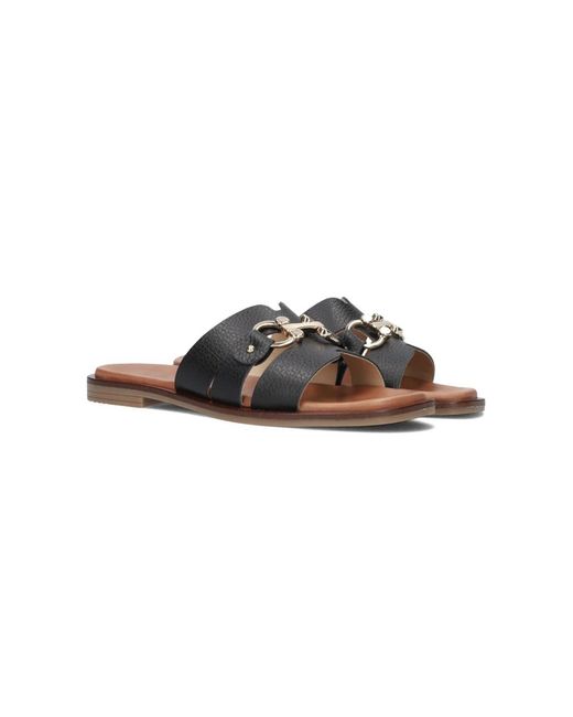 Notre-v Brown Slider