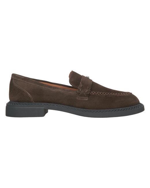 ESTRO Brown Loafers