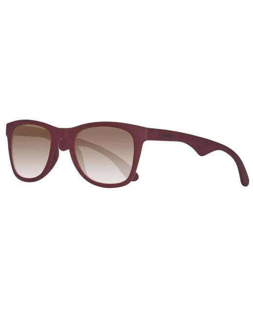 Carrera Brown Sunglasses for men