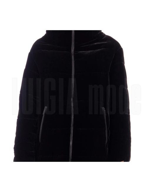 Jackets > winter jackets Aspesi en coloris Black