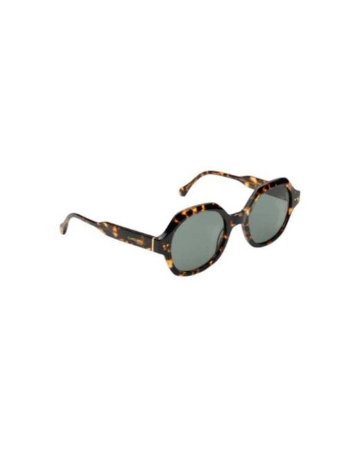 Claris Virot Brown Sunglasses