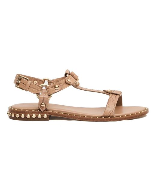 Flat Sandals di Ash in Brown