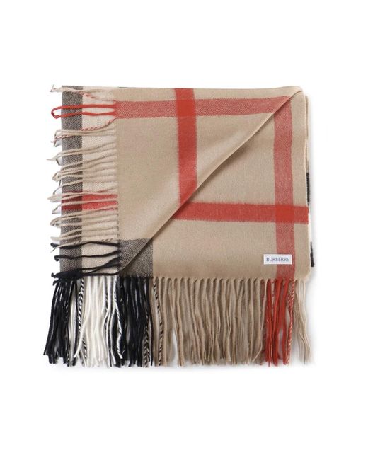 Burberry Brown Winter Scarves