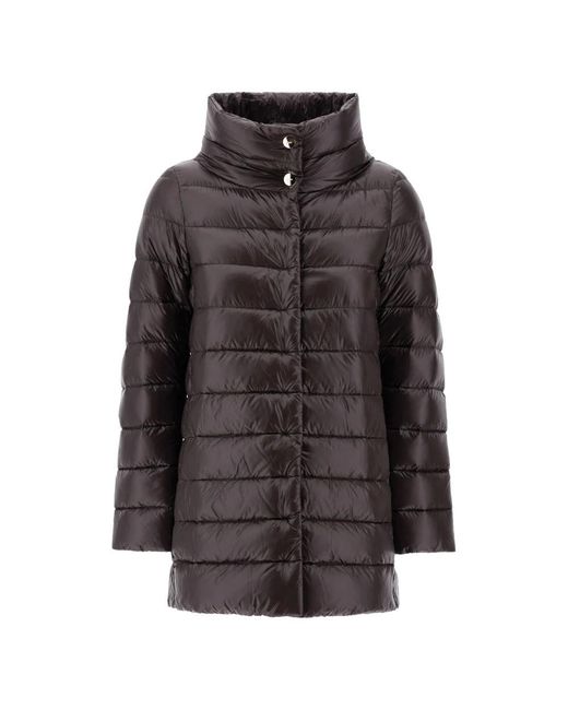 Winter Jackets Herno de color Brown