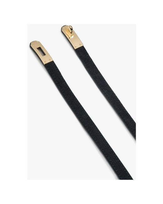 ESTRO Black Belts