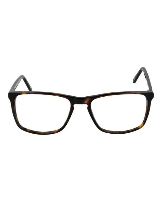 Andy Wolf Black Glasses
