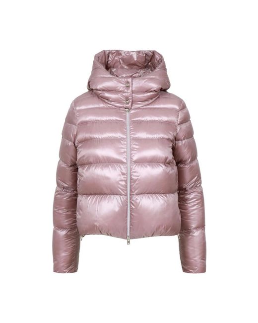 Herno Jassen ,Paars ,Nylon Resort Bomber Jacket in het Pink