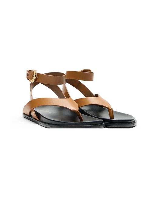 Stuart Weitzman Brown Flat Sandals