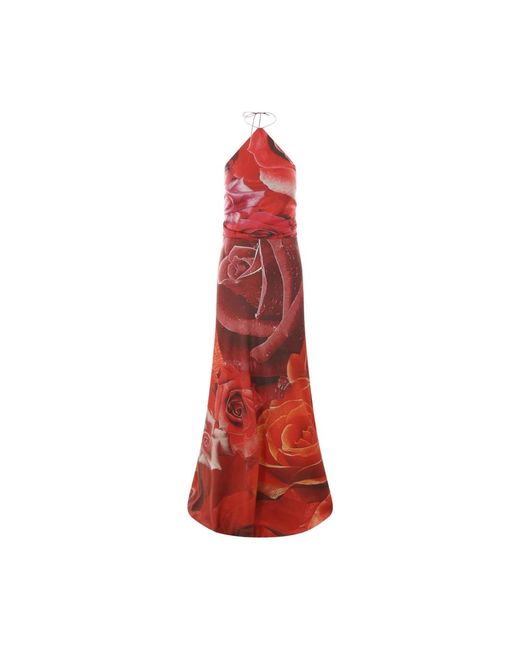 Roberto Cavalli Gowns in het Red