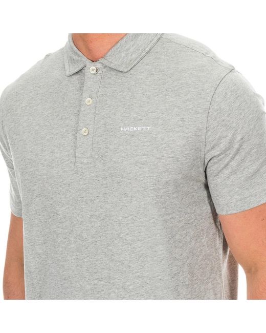 Hackett Polo's in het Gray voor heren