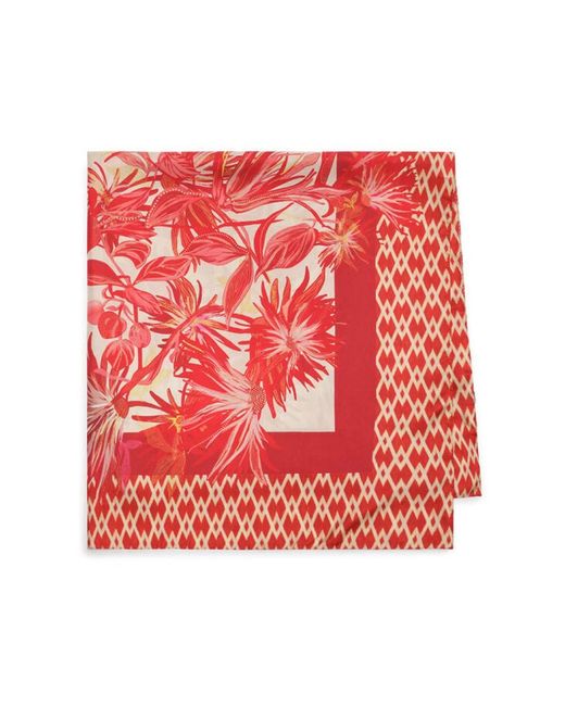 Maliparmi Red Silky Scarves