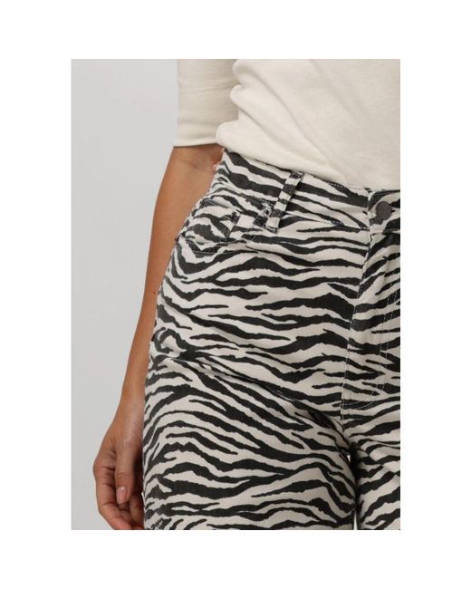 co'couture Gray Zion Zebra Wide Pant