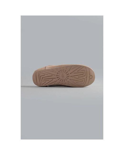 Ugg Brown Slippers