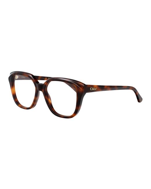 Chloé Brown Glasses
