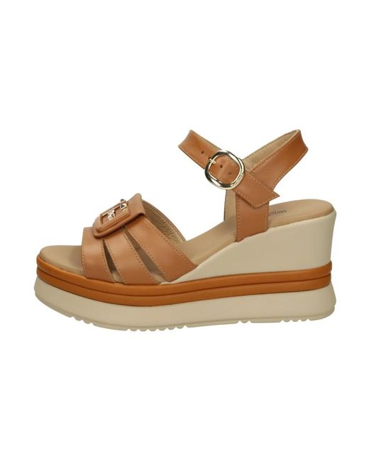 Shoes > heels > wedges Nero Giardini en coloris Brown