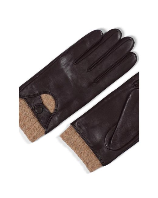 Howard London Black Gloves