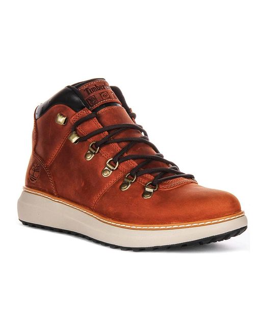 Timberland Brown Lace-Up Boots for men