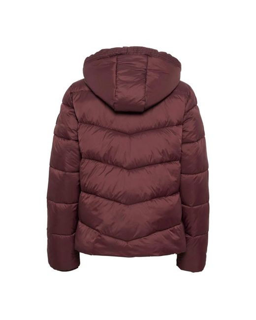 Kaffe Purple Winter Jackets