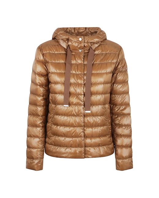 Down Jackets Herno de color Brown