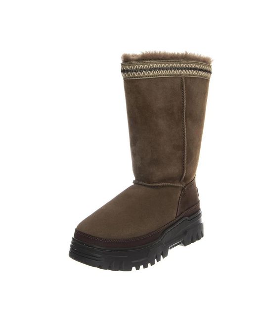 Winter Boots Ugg de color Brown