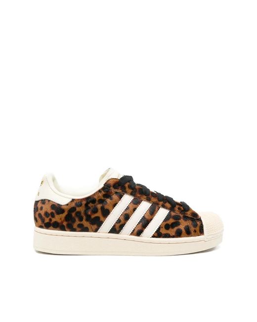 Adidas Fitness ,Bruin ,Leer Superstar Ii in het Brown