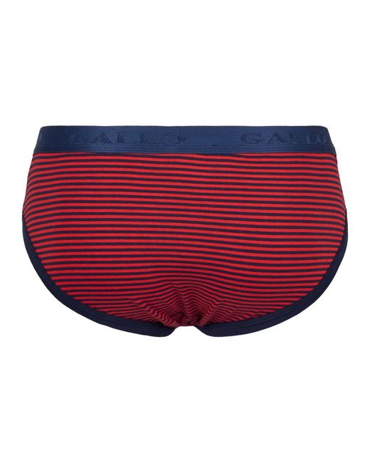 Bottoms Gallo de hombre de color Red