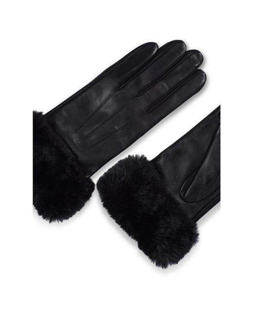 Howard London Black Gloves