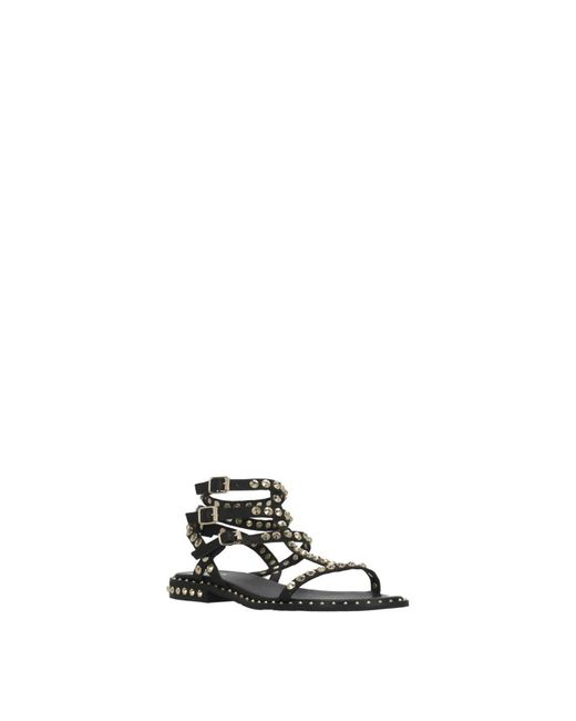 Flat Sandals Ash en coloris Black