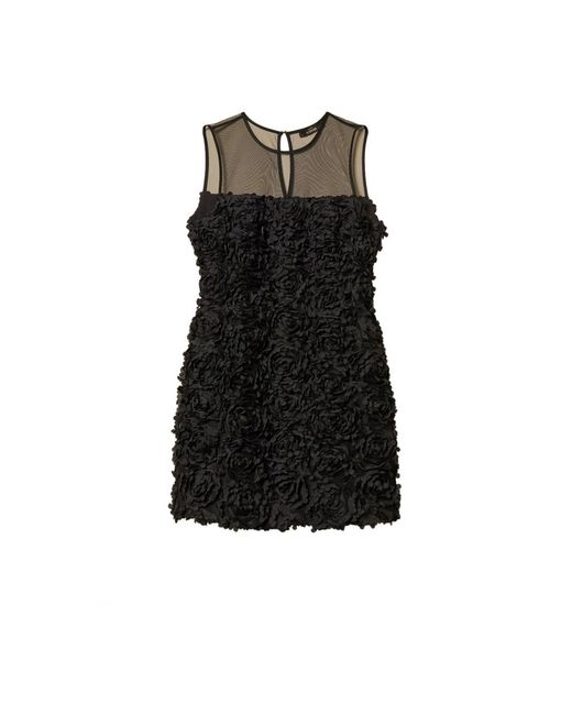 Actitude Mini Jurk in het Black