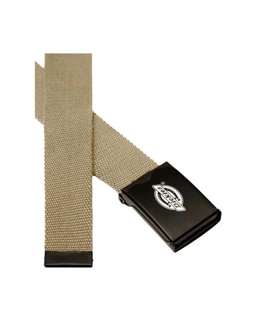 Dickies Brown Orcutt Webbing Belt