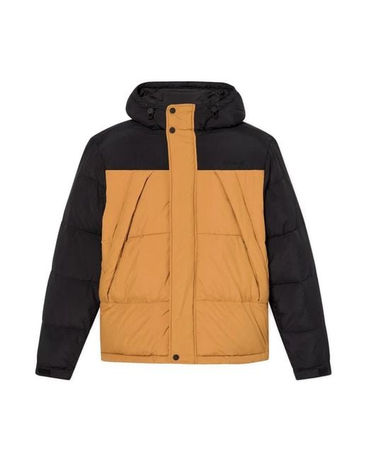 Timberland Orange Winter Jackets for men