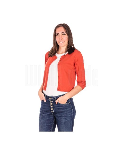Kangra Red Cardigans