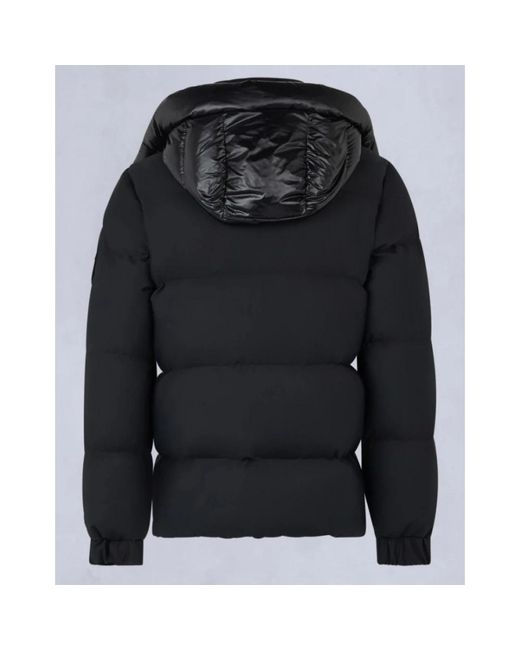 Down Jackets Moose Knuckles de hombre de color Black