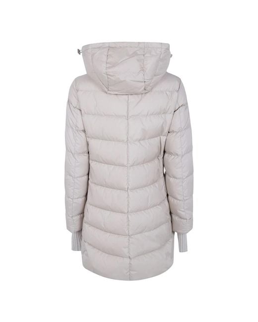 Winter Jackets Herno de color Gray