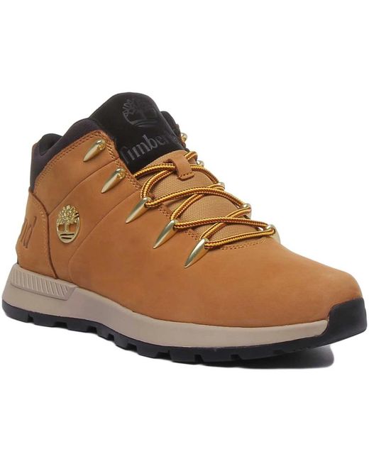 Timberland Brown Lace-Up Boots for men