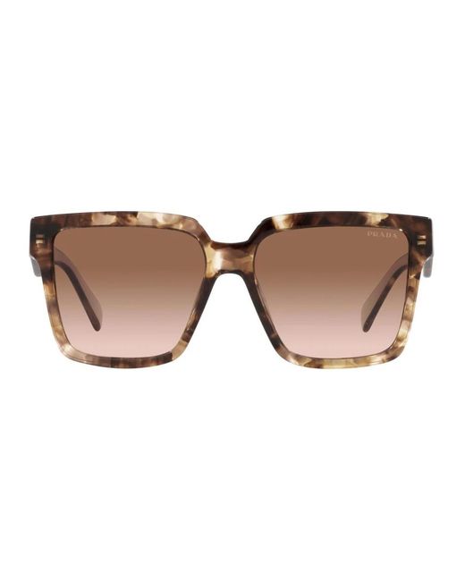 Prada Brown Sunglasses