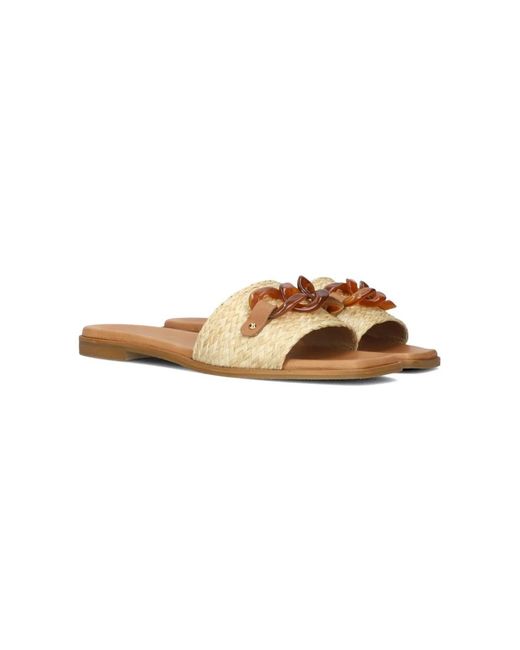 Notre-v Natural Slider