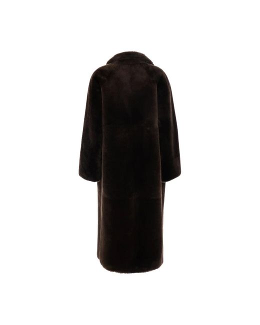 Coats Blancha de color Black