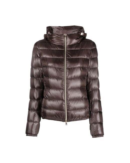 Down Jackets Herno de color Brown