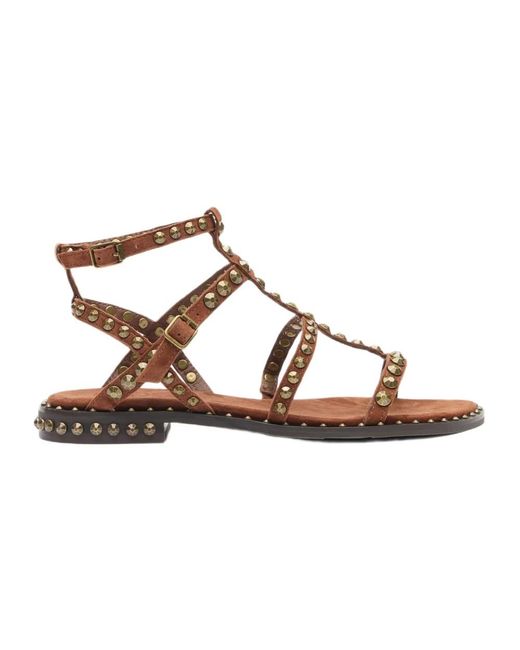 Ash Brown Flat Sandals