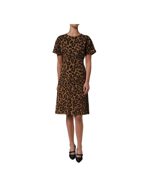 Dolce & Gabbana Brown Short Dresses