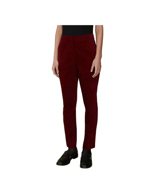 iBlues Red Straight Trousers