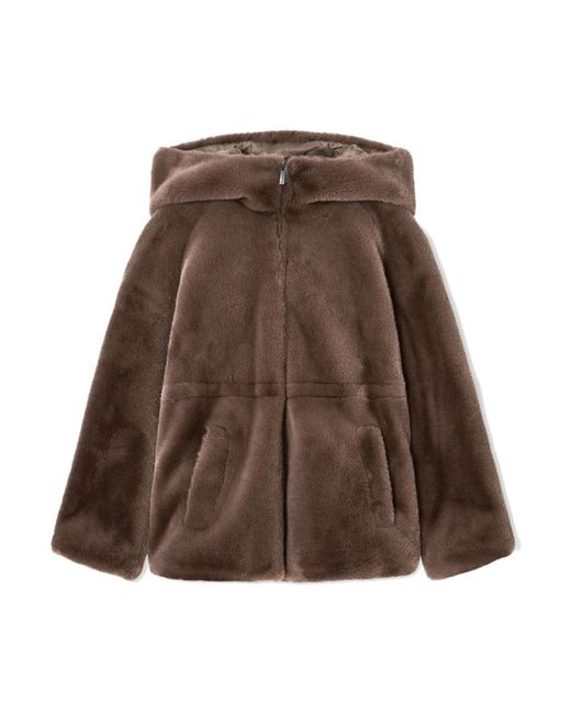 Emporio Armani Brown Wende-Blouson Mit Kapuze