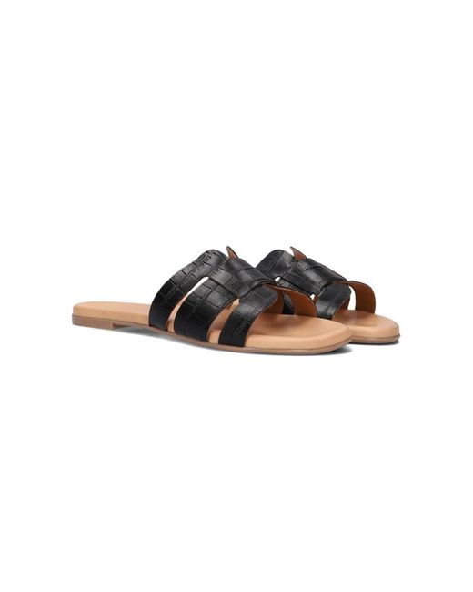 Notre-v Brown Slider