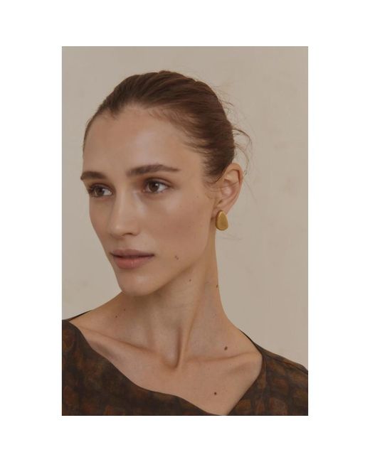 Cortana Metallic Earrings