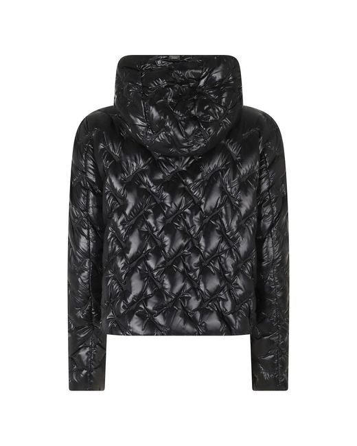 Winter Jackets Herno de color Black