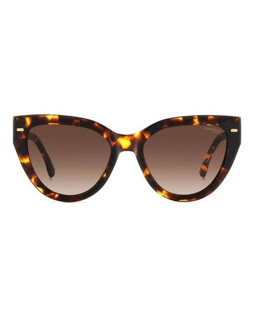 Carrera Brown Sunglasses
