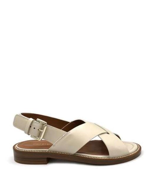 Shoes > sandals > flat sandals Guglielmo Rotta en coloris Brown