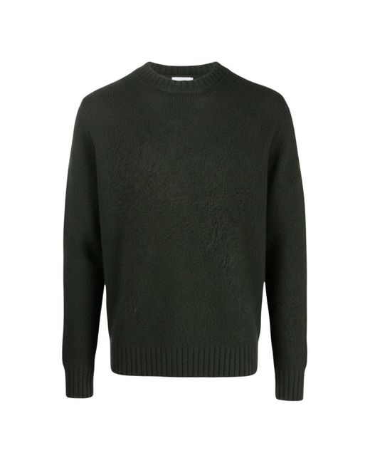 Aspesi M183 Sweater in het Green voor heren